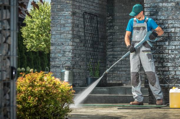 Best Solar Panel Cleaning  in Whiteland, IN